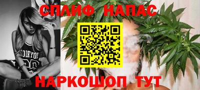 амф Обь