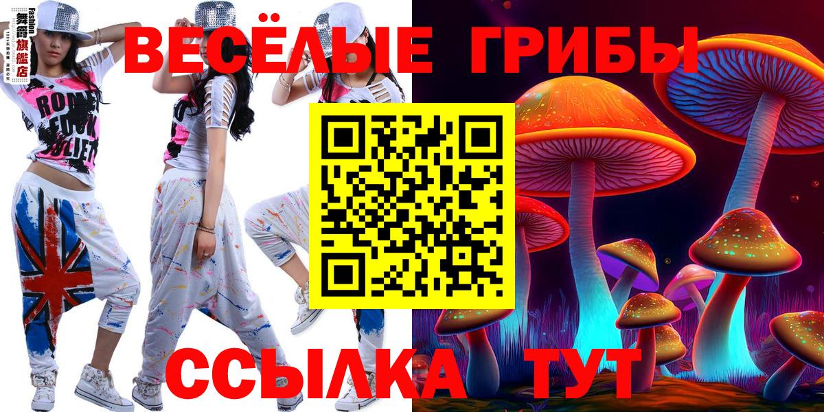 Ярославль  Псилоцибиновые грибы ЛСД  Псилоцибиновые грибы ЛСД  Вход с VPN 